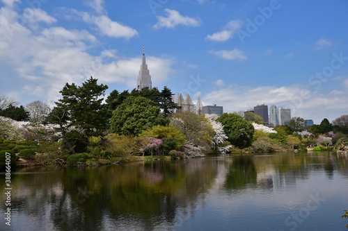 池と新宿のビル群