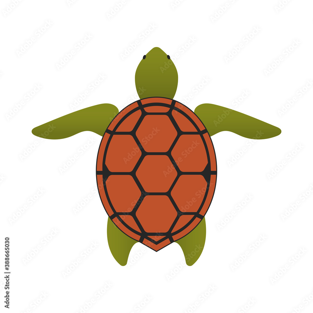 Turtle icon. Cartoon color style drawing. Sea animal. Tortoise symbol ...