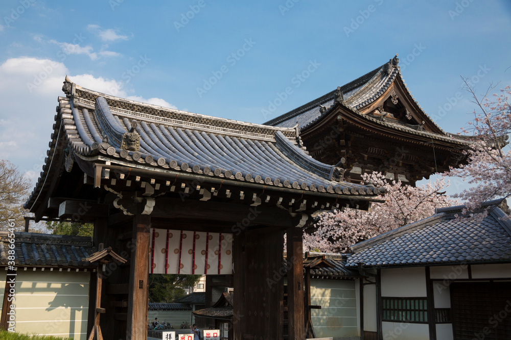 仁和寺本坊表門と二王門