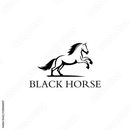 logo for black horse editable vector