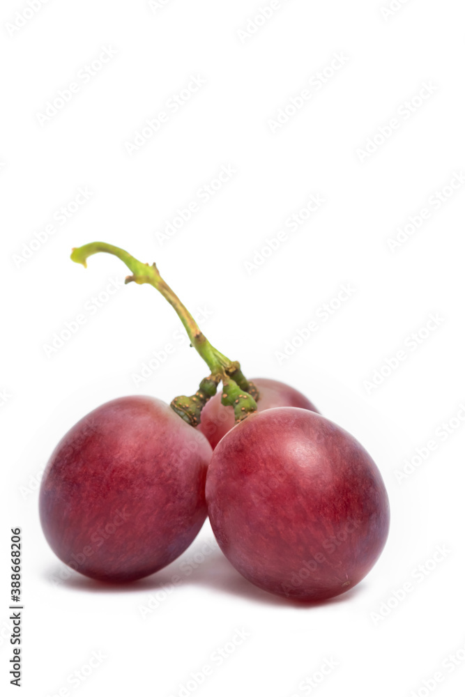 Obraz premium Ripe red grape. bunch of fruits isolated on white background.