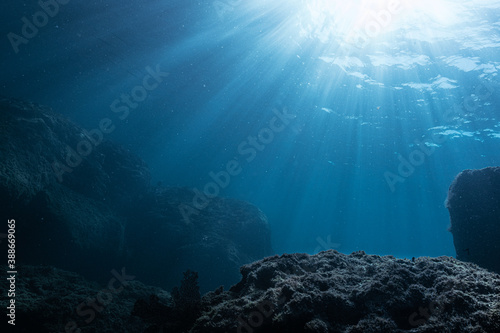 underwater view of a reef