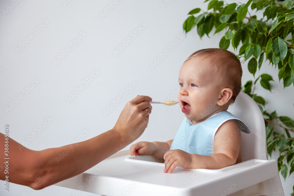 Mother feeds funny happy blond baby in blue bib from a spoon Mother feeds funny happy blond baby in blue bib from a spoon