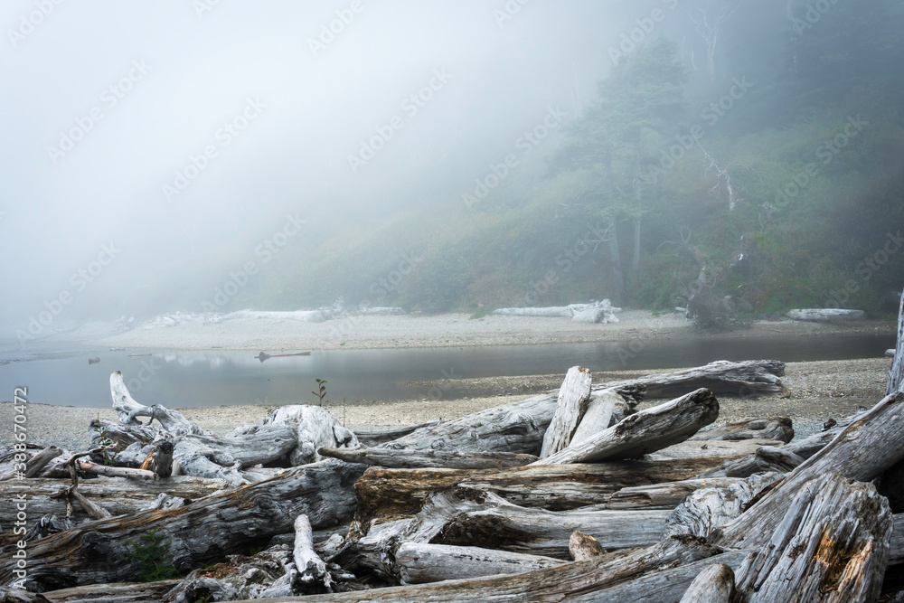 Ruby Beach Washington State USA