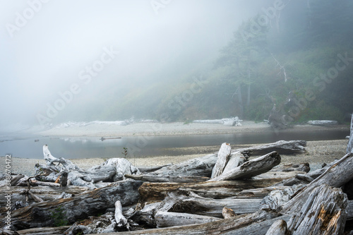 Obraz na płótnie Ruby Beach Washington State USA w salonie