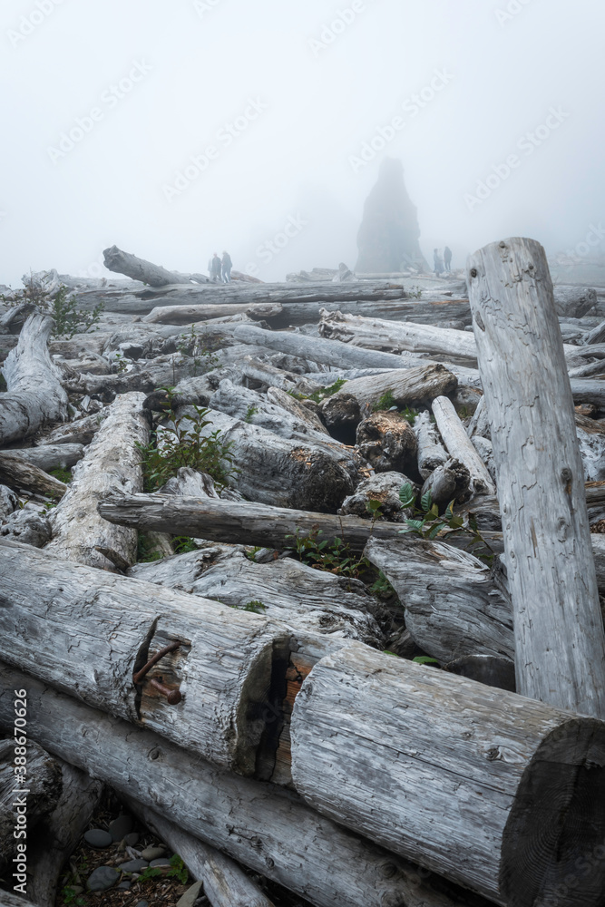 Ruby Beach Washington State USA