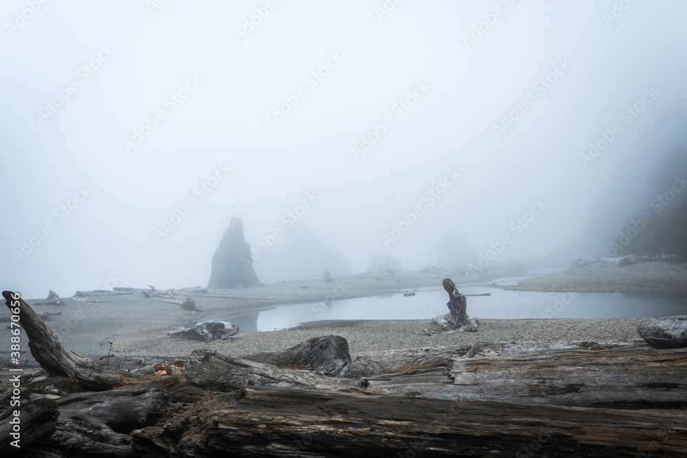 Ruby Beach Washington State USA