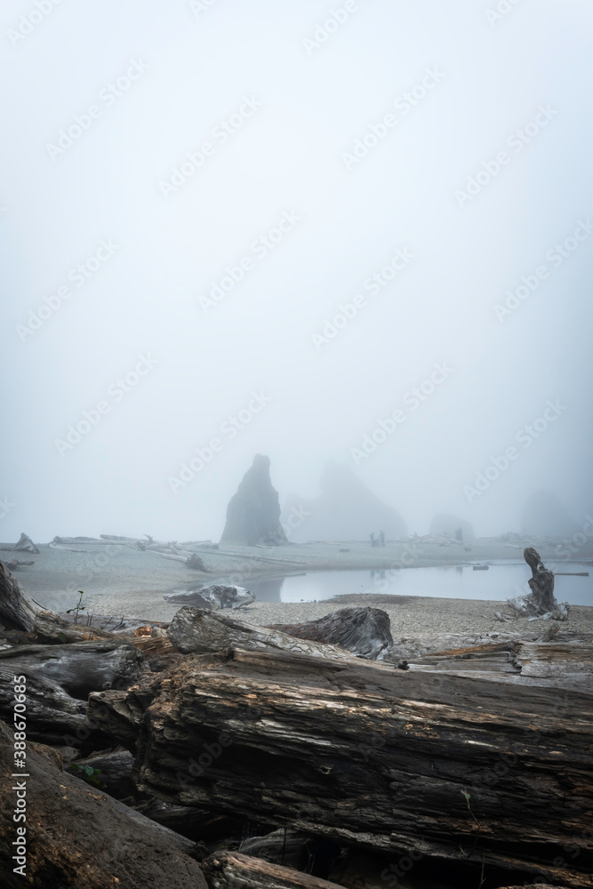 Ruby Beach Washington State USA