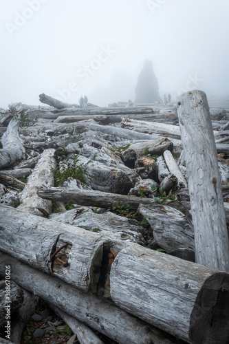 Obraz na płótnie Ruby Beach Washington State USA w salonie