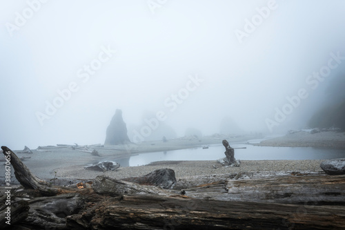 Obraz na płótnie Ruby Beach Washington State USA w salonie