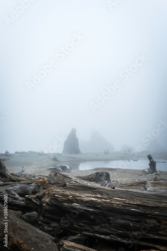 Obraz na płótnie Ruby Beach Washington State USA w salonie