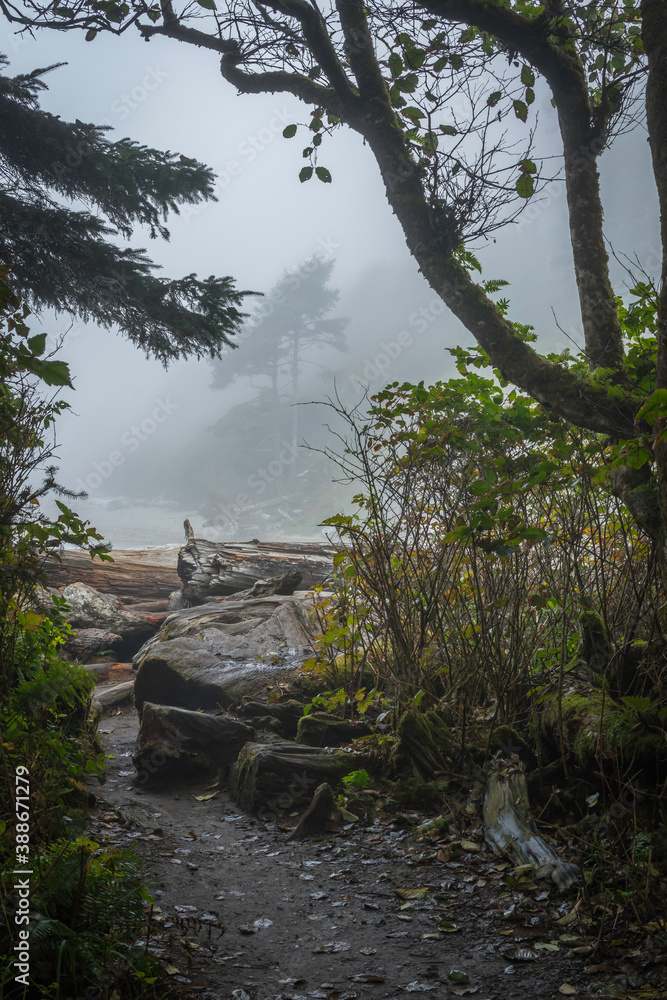 Ruby Beach Washington State USA
