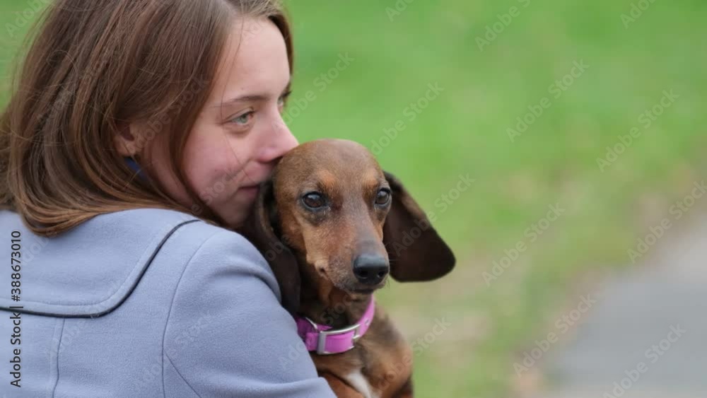 young woman hugs her little dog view from the back. Lifestyle portrait. close up Shot video. Slow motion young woman hugs her little dog view from the back. Lifestyle portrait. close up Shot video. Slow motion