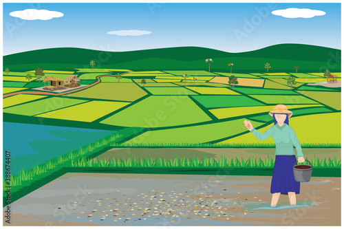 farmer sow manure into paddy field vector design