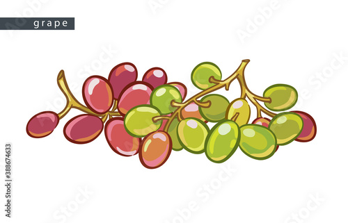 sketch_pink_and_green_grape_small_pile