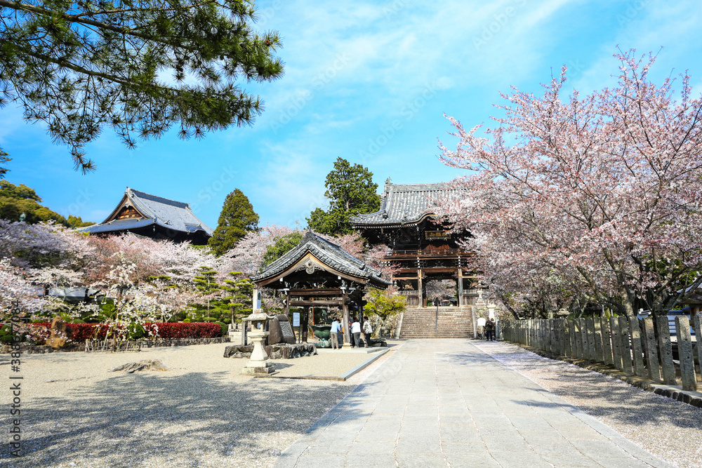 粉河寺(中門) 粉河寺(中門)