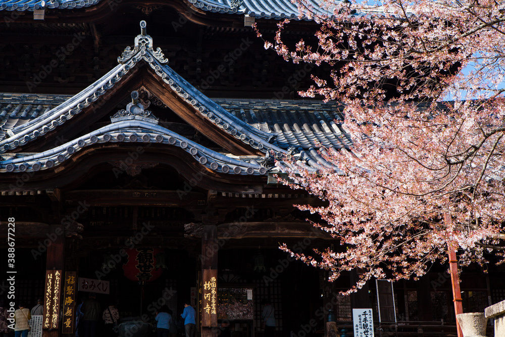 粉河寺(本堂) 粉河寺(本堂)