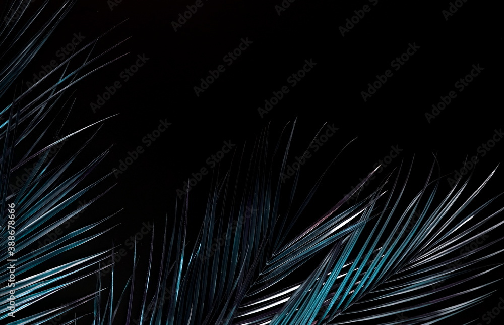 Obraz premium Gold palm leaves isolated on a black background top view frame with copy space. abstract poster.