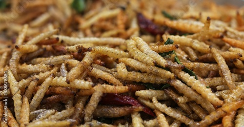 Bamboo worm fried, fried insects are a high protein foods. Its habitat are the bamboo groves and forests in the cooler regions of northern Thailand.