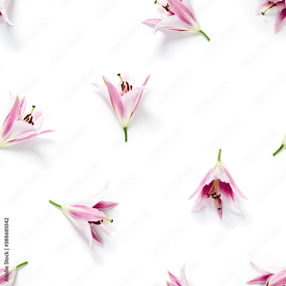 seamless pattern of Lily flower bloom. Lily flowers over white background seamless texture. flat lay flower pattern seamless pattern of Lily flower bloom. Lily flowers over white background seamless texture. flat lay flower pattern