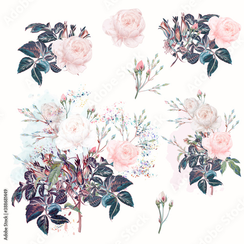 Beautiful vector set of rose flowers in watercolor style