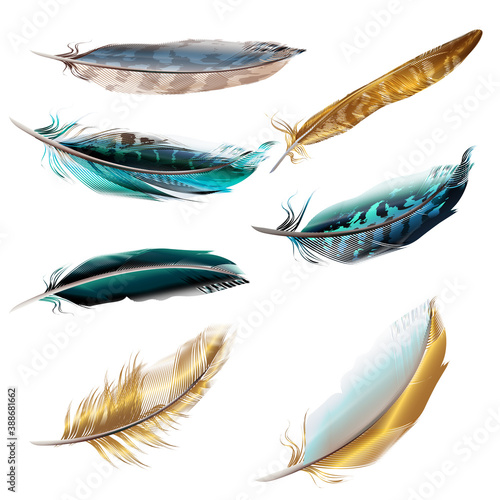 collection of vector realistic feathers for design