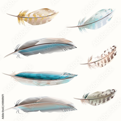 Fashion collection of vector high detailed feathers in realistic style