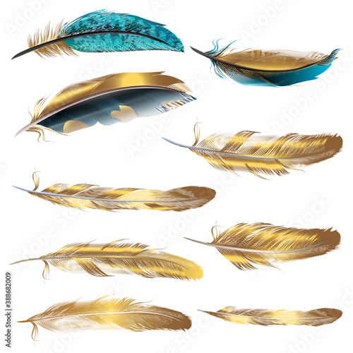 Set of vector realistic feathers isolated on white