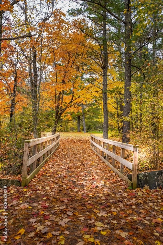 Falling Autumn leaves on a bridge at Jay Cooke State Park in Carlton, Minnesota Falling Autumn leaves on a bridge at Jay Cooke State Park in Carlton, Minnesota