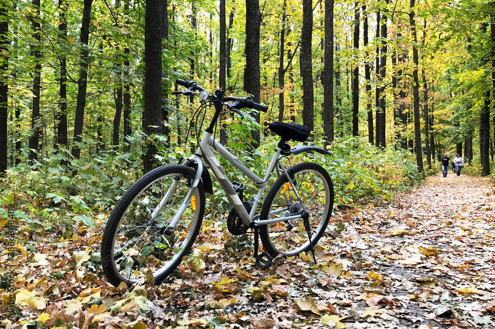 bicycle stand on footpath which is covered with colorful autumn leaves in beautiful forest. Outdoors activities concept.