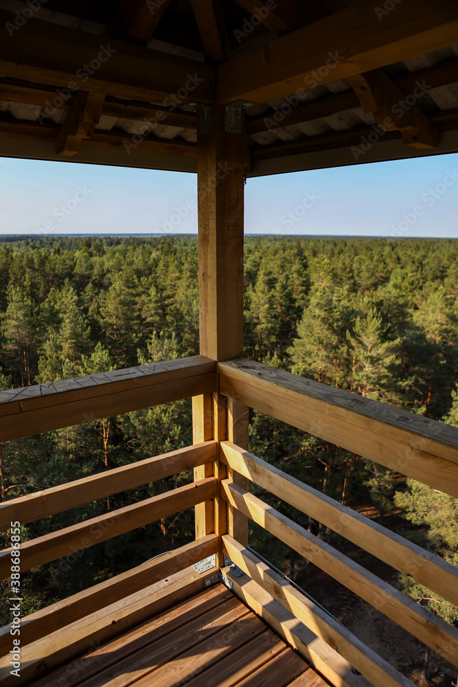 Forest view from a view tower with wooden elements on the foreground.