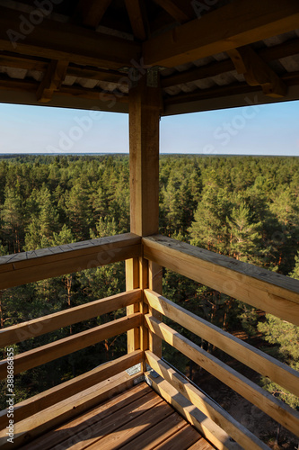 Forest view from a view tower with wooden elements on the foreground.