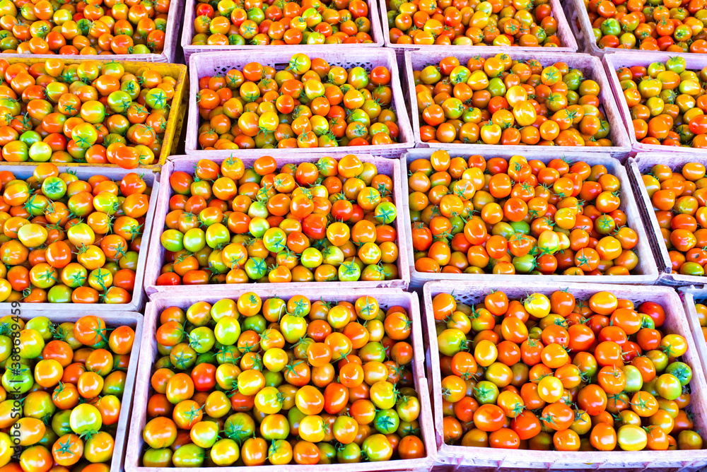 Tomato crates contain products for export to Asian markets.