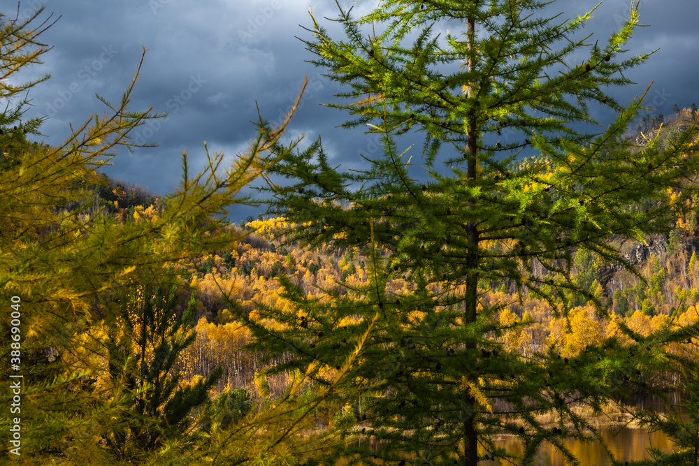 Dramatic stormy sky in the mountains in autumn. Picturesque autumn landscape with colorful bright forest.