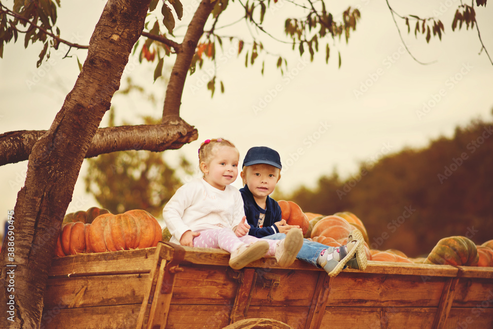Fototapeta premium children in fall