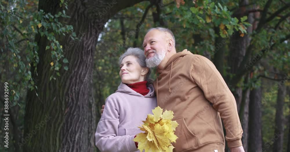 Elderly couple on a walk in a forest Park, autumn day, gray-haired man and woman walking in a city Park, romantic moment, autumn mood. Elderly couple on a walk in a forest Park, autumn day, gray-haired man and woman walking in a city Park, romantic moment, autumn mood.