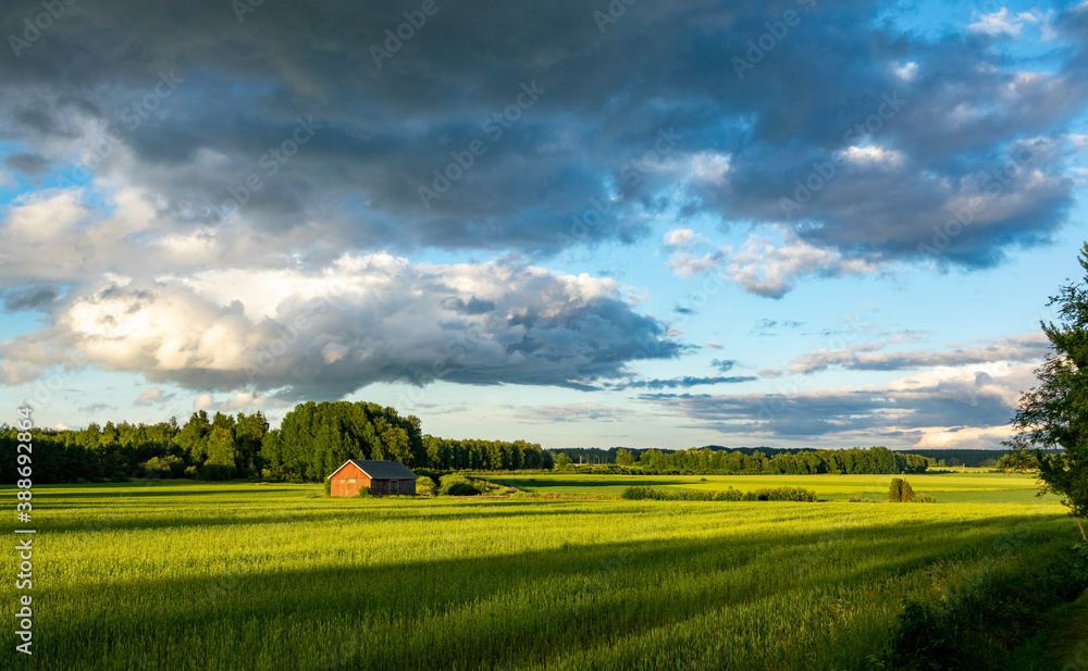 Countryside scenery in summertime, Southwest Finland