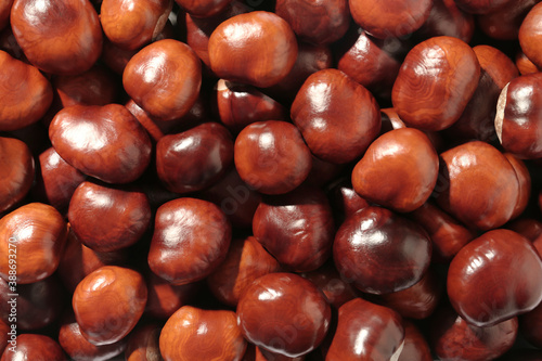 Pile of horse chestnuts as background, top view