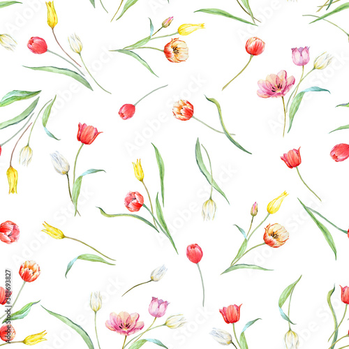 Wallpaper Mural Beautiful seamless pattern with watercolor gentle blooming tulip flowers. Stock illustration. Torontodigital.ca