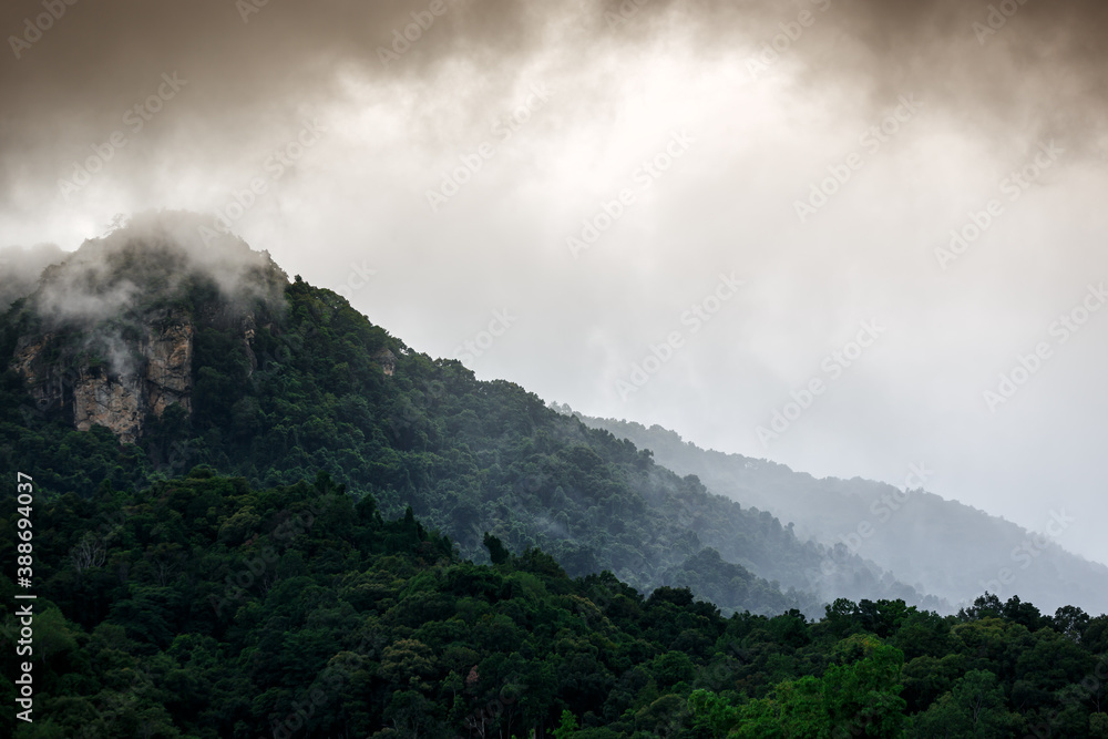 Misty mountain peak landscape forest in the morning