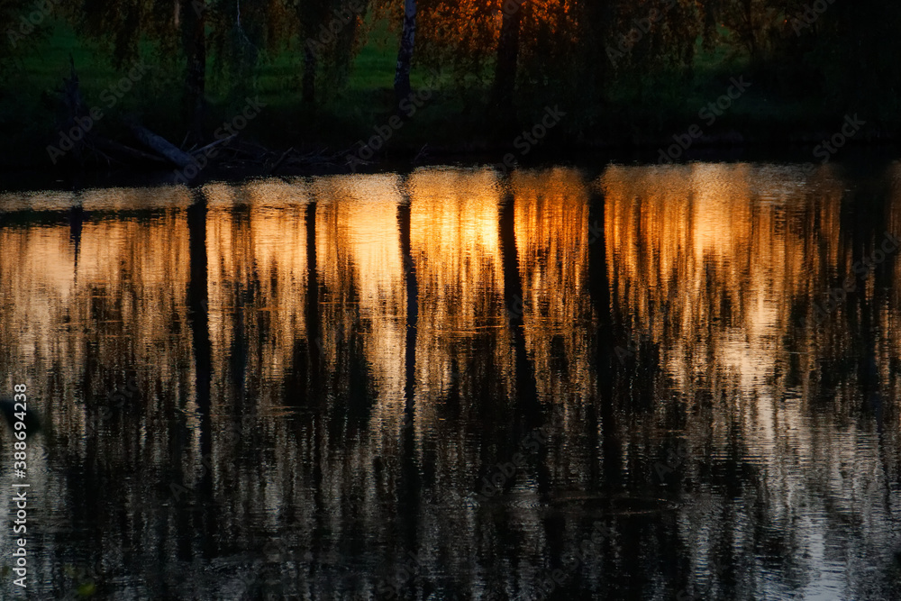 reflection of trees in the water in the sunbeams in the evening reflection of trees in the water in the sunbeams in the evening