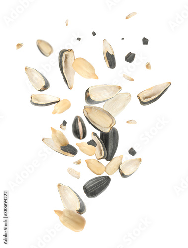 Sunflower seeds with hull flying on white background