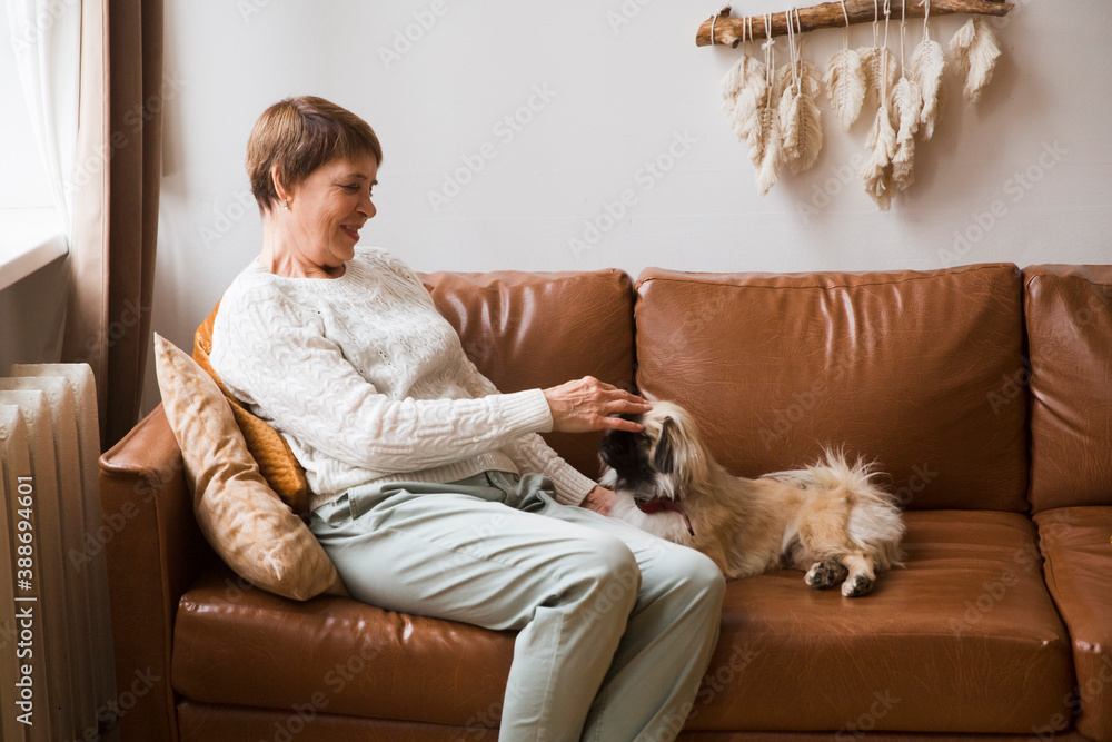 A happy senior woman with Pet Dog sitting on a sofa indoors at home.
A happy senior woman with Pet Dog sitting on a sofa indoors at home.
