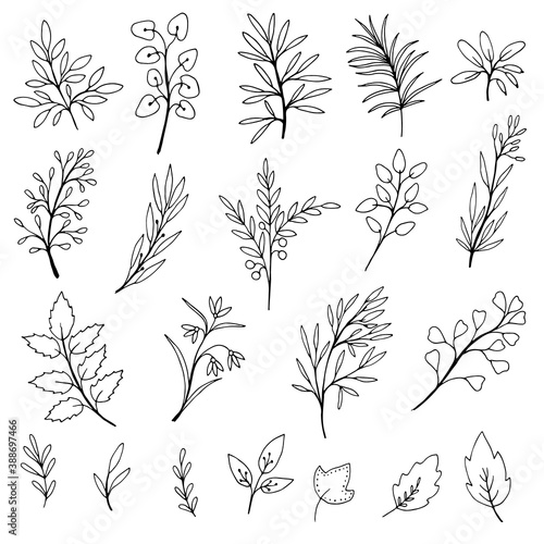 Set of simple doodles of flowers and branches
