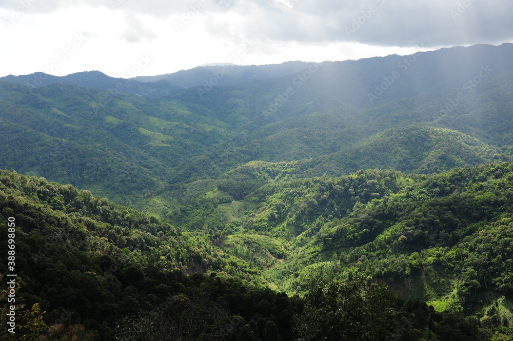 view of the sunny mountains in the morning hits the mountains.forest in Thailand