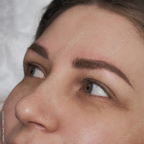 Fototapeta Naklejka Na Ścianę i Meble -  Permanent eyebrow makeup. The girl's face after the procedure. The work of a beautician.