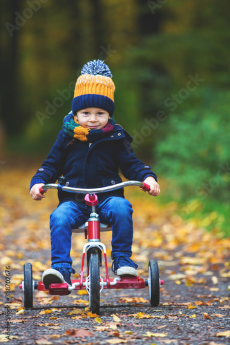 Cute toddler child, boy, playing in park on sunny autumn day