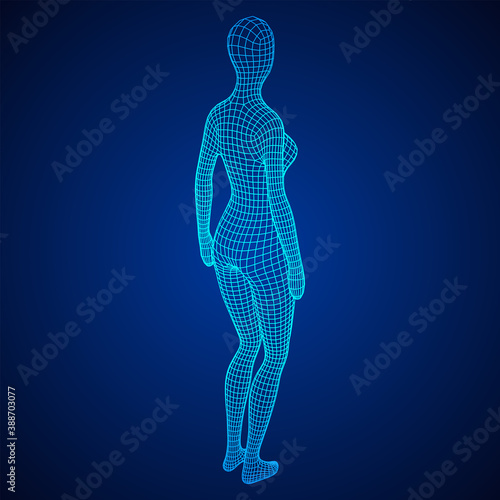 Female or woman anatomy. Body biology medicine education concept.