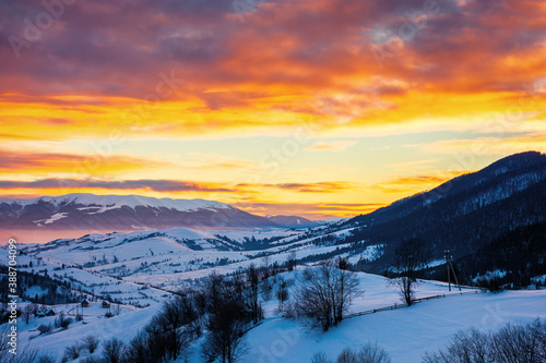 winter mountain landscape at sunrise. trees and fields on snow covered hills. ridge in the distance beneath a dramatic sky with clouds. beautiful carpathian countryside © Pellinni
