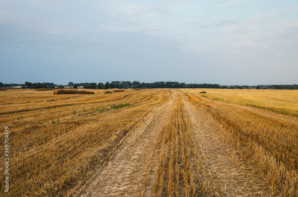 Field road laid by a tractor and cars on the stubble and on the left are rolls of straw
